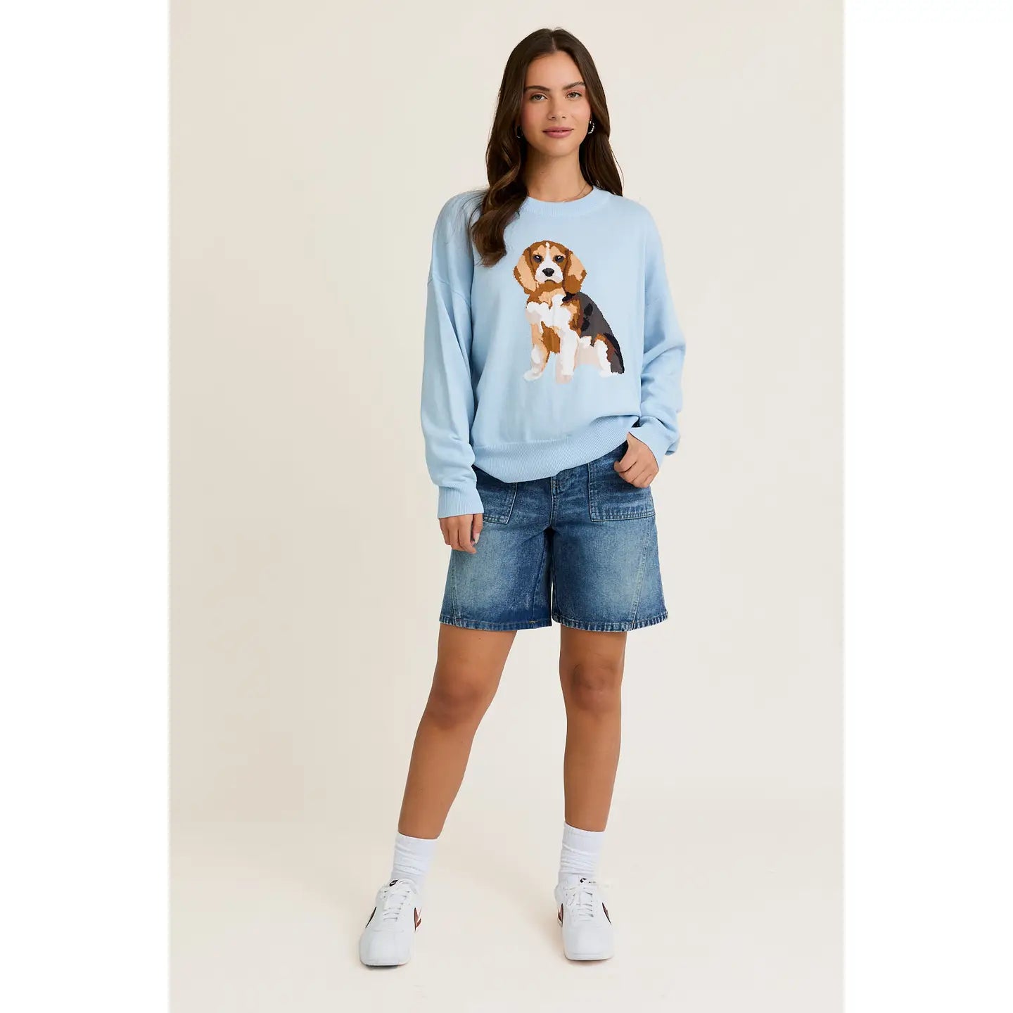 Beagle Sweater