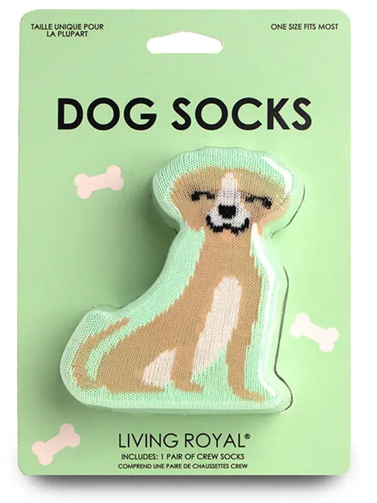 Dog Socks